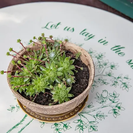 Alpenrelax Haus Weidmannsheil Wohnen Im Romantischen Forsthaus *