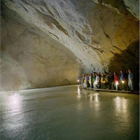 Lejlighed Alpenrelax Haus Weidmannsheil Wohnen Im Romantischen Forsthaus Werfen