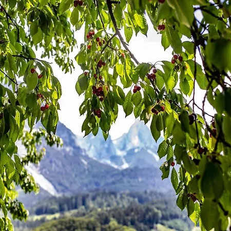 公寓 Alpenrelax Haus Weidmannsheil Wohnen Im Romantischen Forsthaus *