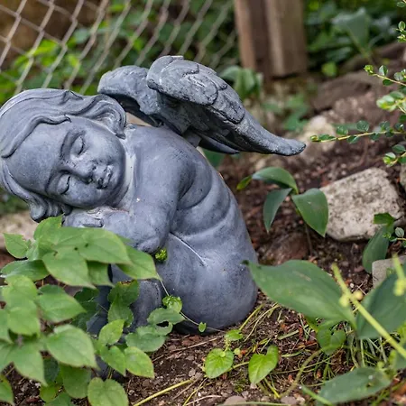 Alpenrelax Haus Weidmannsheil Wohnen Im Romantischen Forsthaus Lejlighed