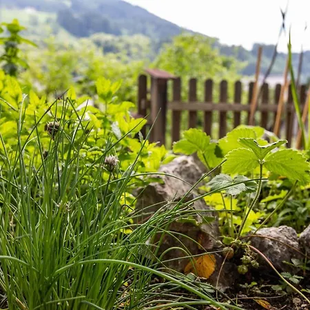 Alpenrelax Haus Weidmannsheil Wohnen Im Romantischen Forsthaus * 韦尔芬