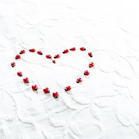 Alpenrelax Haus Weidmannsheil Wohnen Im Romantischen Forsthaus * Werfen