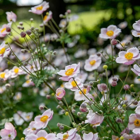Alpenrelax Haus Weidmannsheil Wohnen Im Romantischen Forsthaus