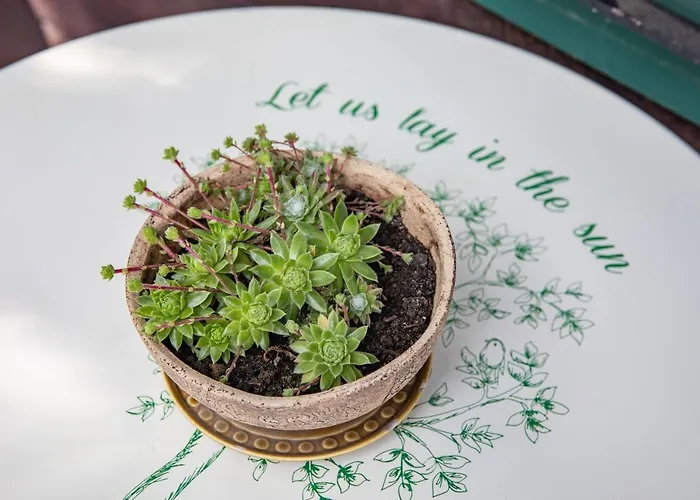 Alpenrelax Haus Weidmannsheil Wohnen Im Romantischen Forsthaus *