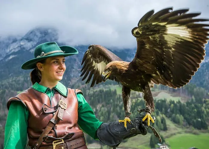 Apartman Alpenrelax Haus Weidmannsheil Wohnen Im Romantischen Forsthaus Werfen