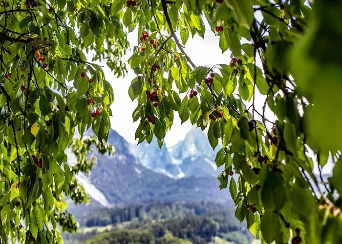Apartmán Alpenrelax Haus Weidmannsheil Wohnen Im Romantischen Forsthaus *