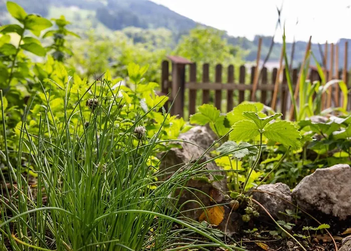 Alpenrelax Haus Weidmannsheil Wohnen Im Romantischen Forsthaus * Werfen
