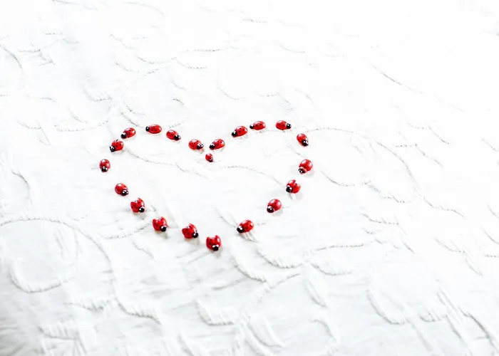 Alpenrelax Haus Weidmannsheil Wohnen Im Romantischen Forsthaus * Werfen