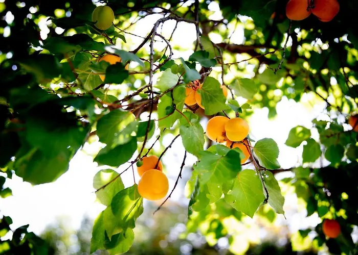 Alpenrelax Haus Weidmannsheil Wohnen Im Romantischen Forsthaus Apartman *