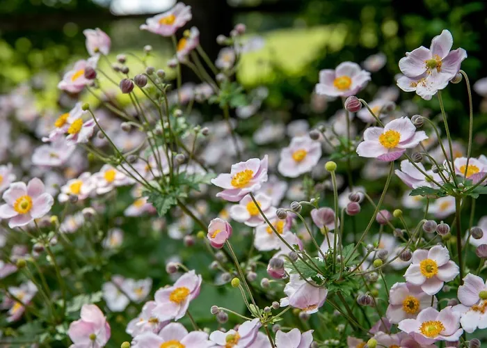 Alpenrelax Haus Weidmannsheil Wohnen Im Romantischen Forsthaus